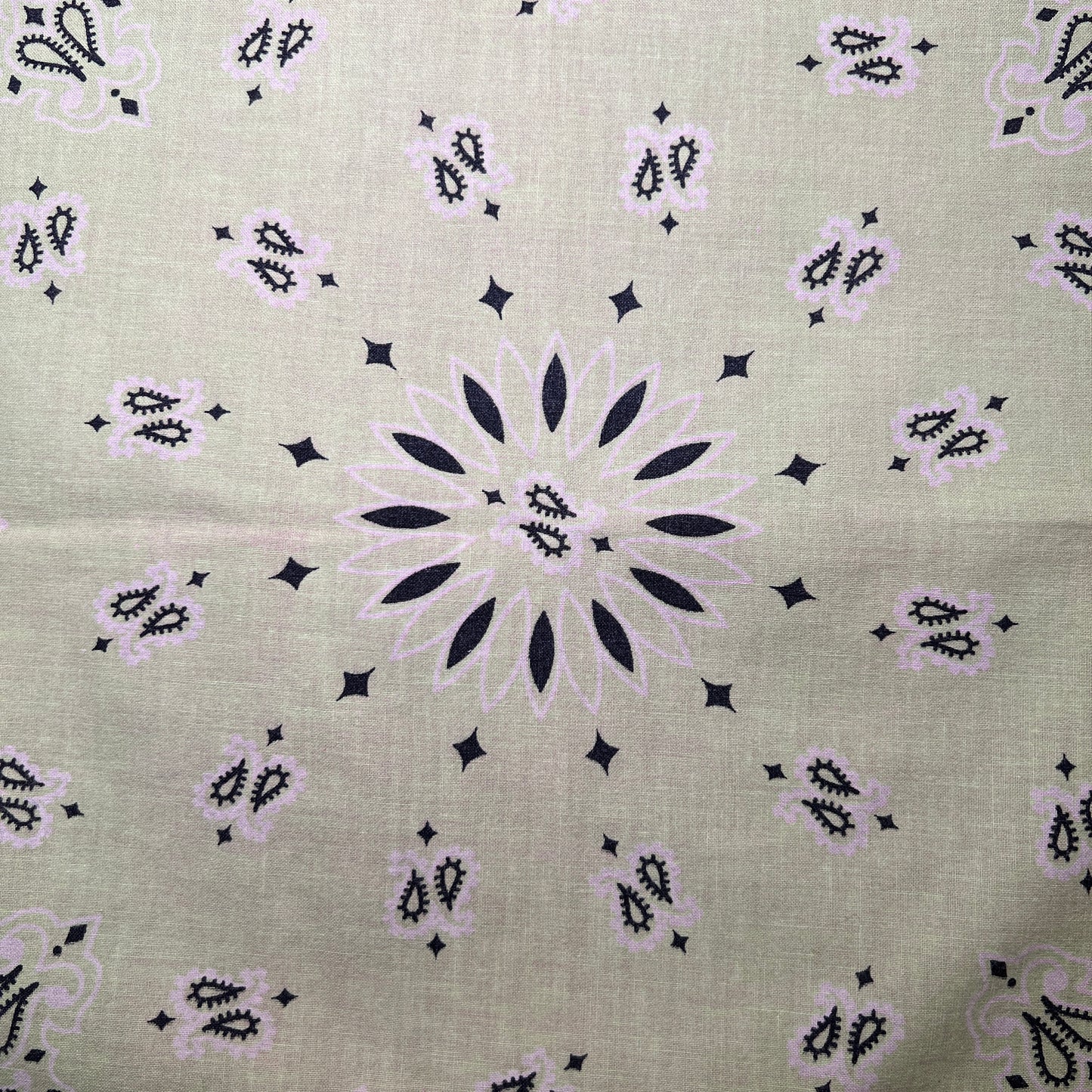 HAV-A-HANK Pink and Lime Green Color 2 Tone Bandana