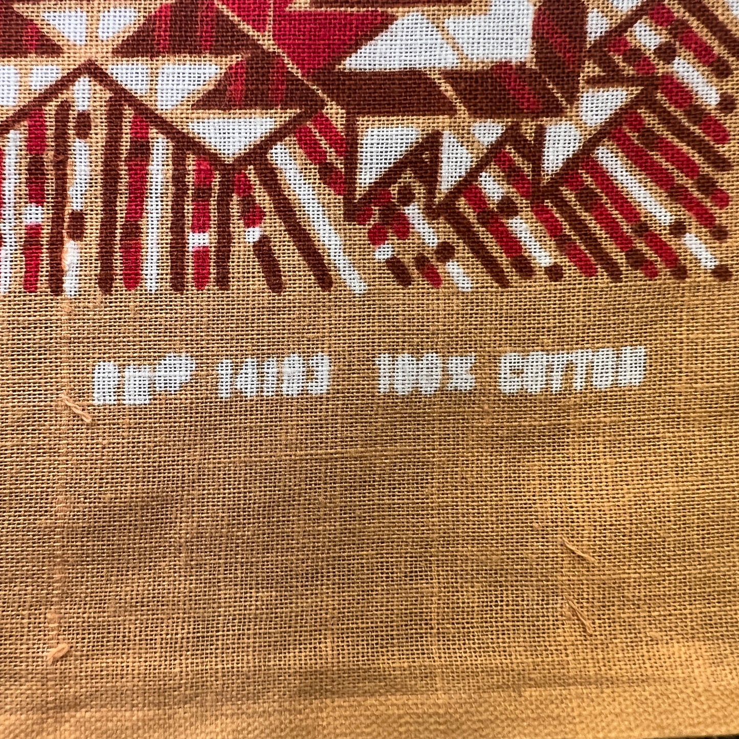Native American bandana with Native American Girls Graphic Print