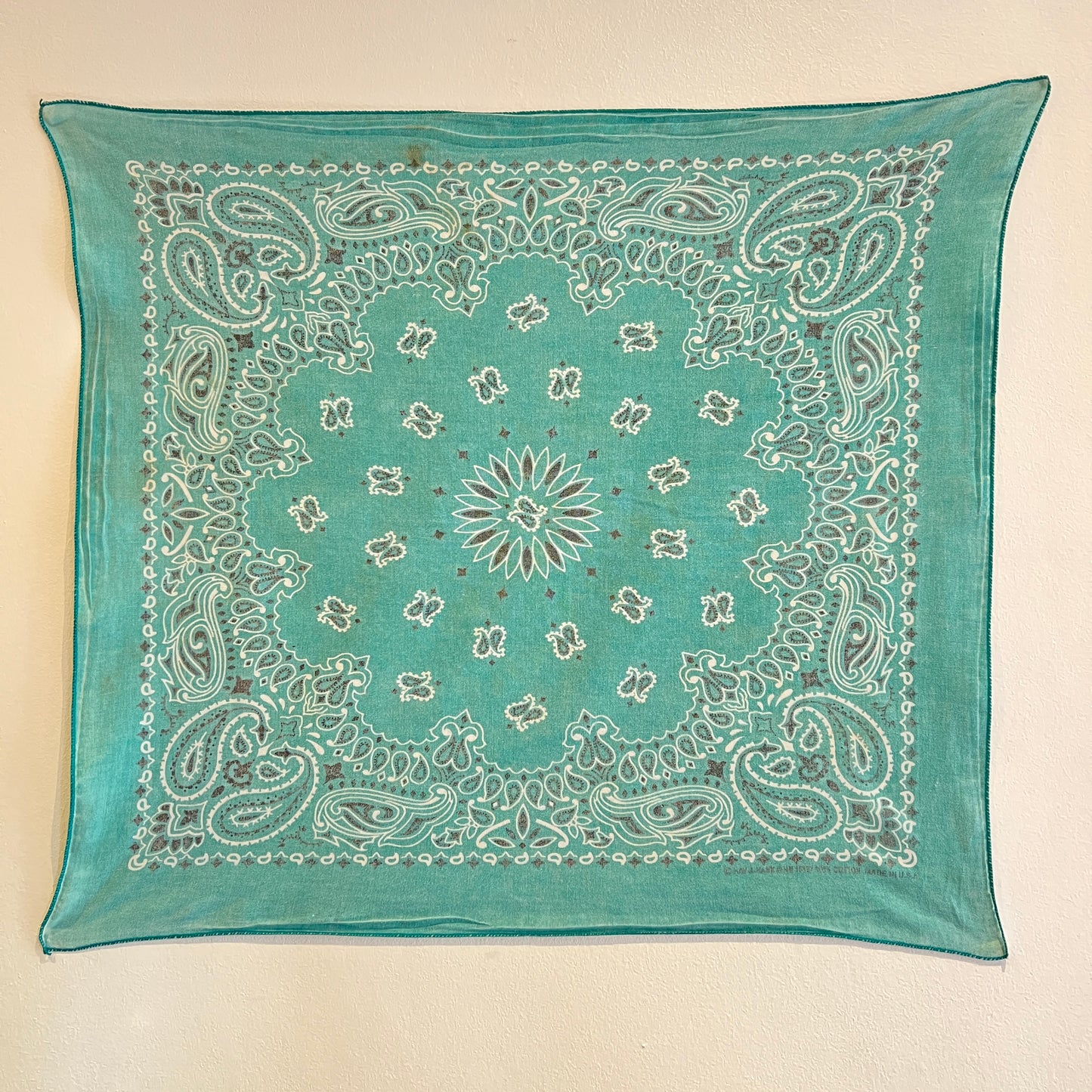 HAV-A-HANK Faded Turquoise Color Bandana with Paisley Pattern Print