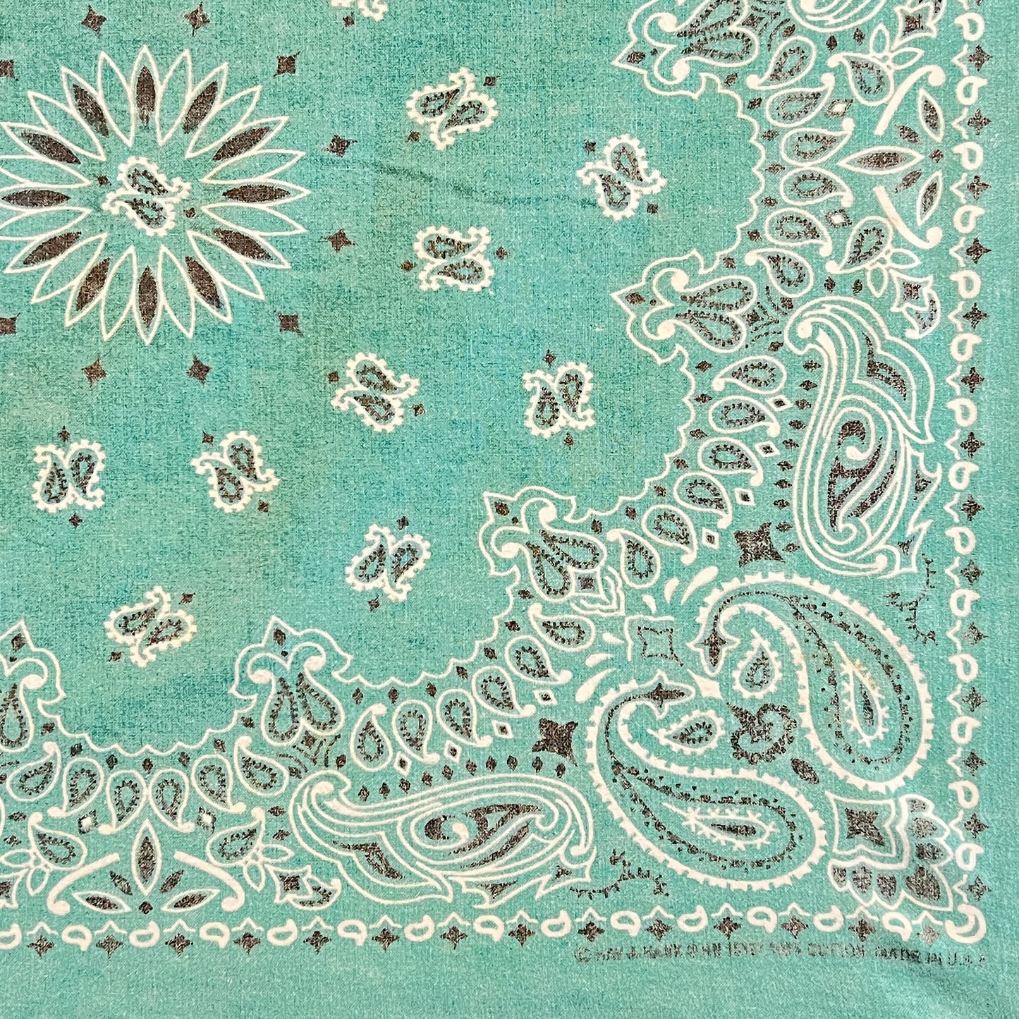 HAV-A-HANK Faded Turquoise Color Bandana with Paisley Pattern Print