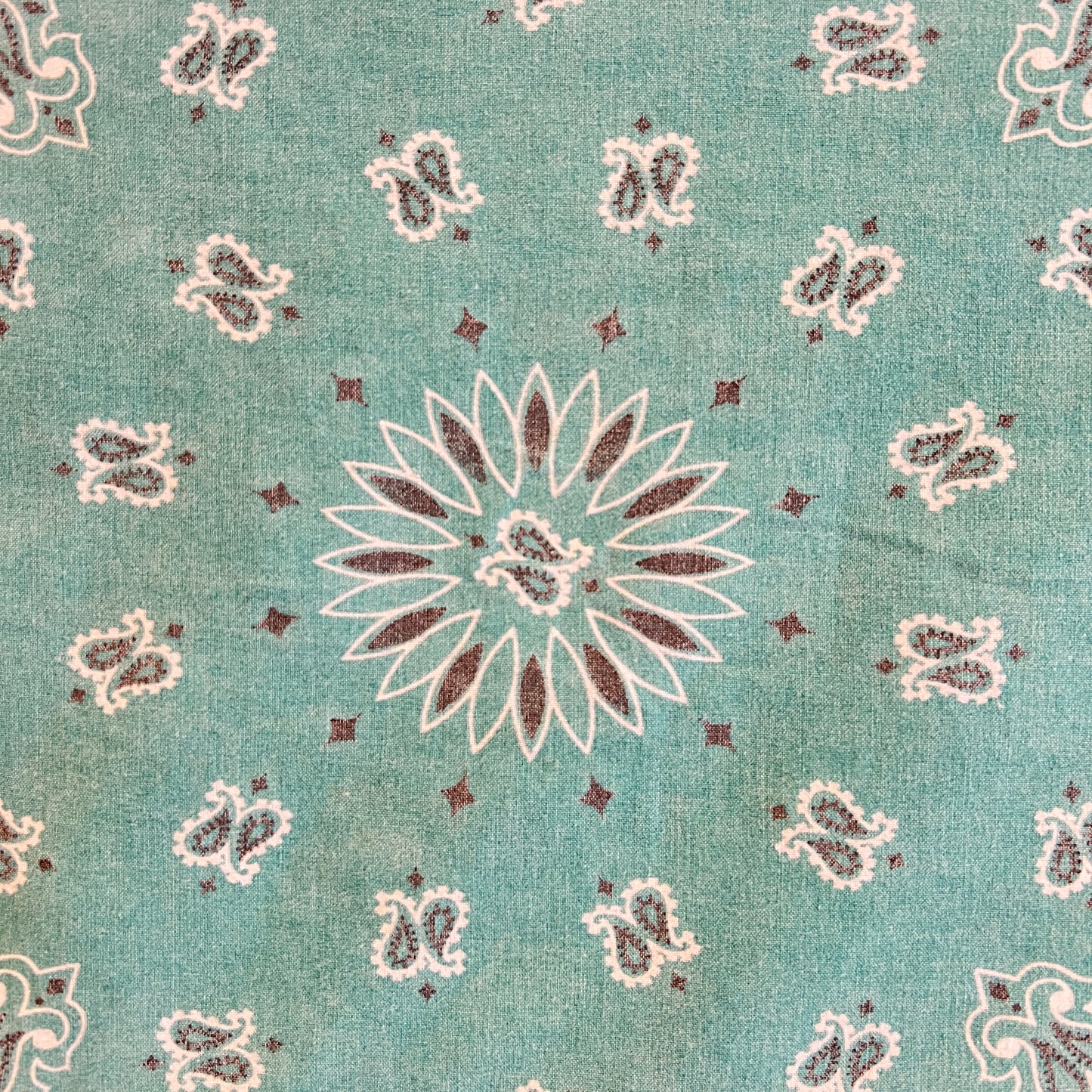 HAV-A-HANK Faded Turquoise Color Bandana with Paisley Pattern Print
