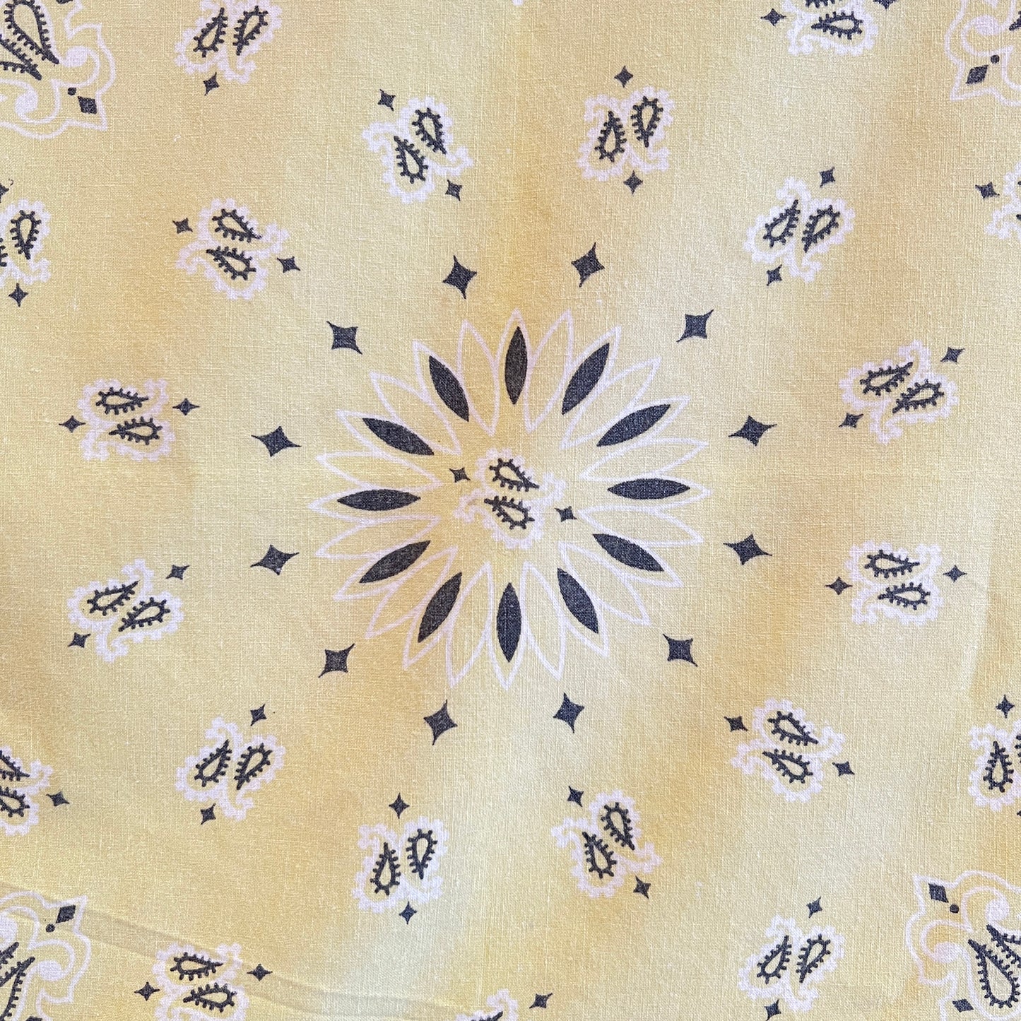 HAV-A-HANK Faded Yellow Color Bandana with Paisley Pattern Print